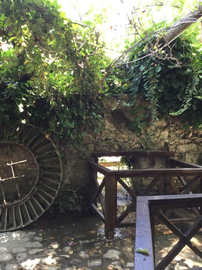 Uyku Vadisi Hotel Agaclihuyuk Exteriör bild